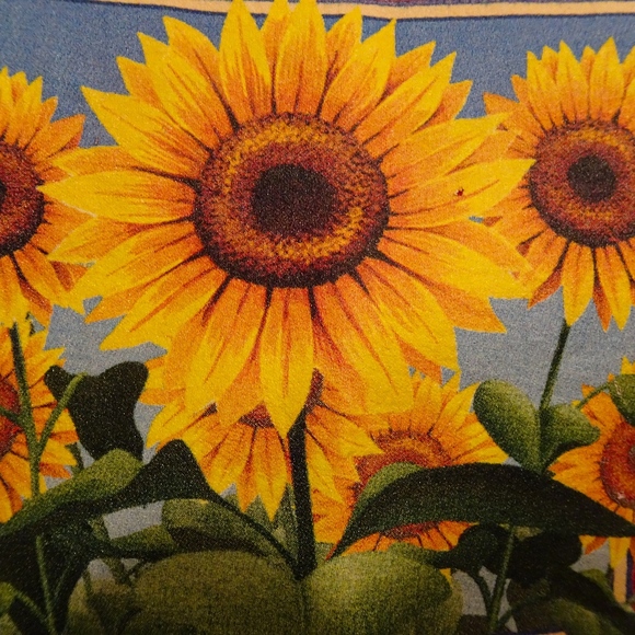 Vintage Retro Red Iowa Sunflower Field Short Sleeve T-Shirt Women's Size Large - Picture 6 of 6